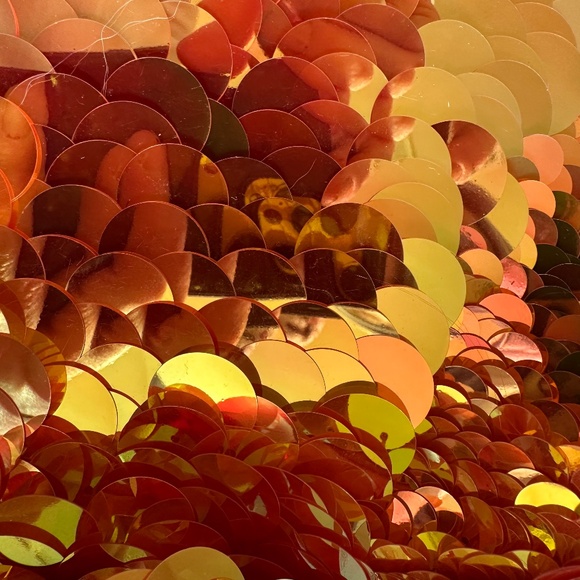 NWT ROSA BLOOM Indus SEQUINS LEGGINGS Pants SIZE XXS - Picture 2 of 5